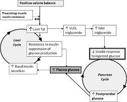 23 meticulous diabetic intake chart