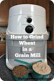 Stir in water until thoroughly blended. How To Grind Wheat In A Grain Mill