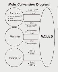 Diagramme De Conversion De La Mole Ensenanza De Quimica Ciencias Quimica Quimica
