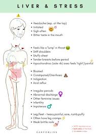 How Tcm Can Help You With Stress Digestion Guthealth Womenshealth Mentalhealth Acupuncture Benefits Acupuncture Stress