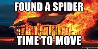 But just two minutes into the video, the woman who just simmered her cooking started to look pale. Arachnophobia Why Are We Afraid Of Spiders