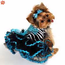 Dog clothes winter hoodie chihuahua clothes dog clothing for puppy yorkie coat. Time To Source Smarter Fancy Dog Fancy Dog Clothes Girl And Dog