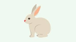 27 Bouncing Baby Names Meaning Rabbit Or Bunny Wetheparents