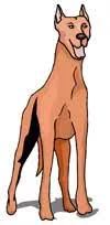 Rever de chien noir en islam predit une tromperie il est evidant que le reveur sera trompe par son meilleur ami. Rever De Chien En Islam Interpretation Signification Du Reve De Chien En Islam