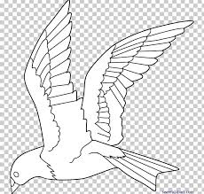 Each printable highlights a word that starts. Bird Colouring Pages Coloring Book Flight Drawing Png Clipart Angle Animals Area Art Artwork Free Png