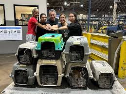 Join us in this wonderful opportunity to educate ourselves, support our  common goals, and share time and experiences with fellow rescuers. See you  there this Sunday!