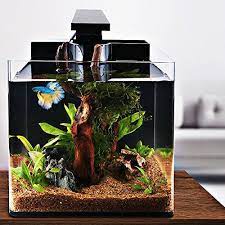 Get the right pet accessories! Iswees Betta Fish Tank Complete Aquarium Kit All Acrylic 4 Gallon With Betta Fish Accessories Led Lighting Air Pump Sponge Filter And Heater Decorative F Fish Tank Betta Fish Tank Betta Fish