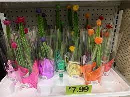 What does each flower symbolize? These Poor Cvs Cacti Cactus