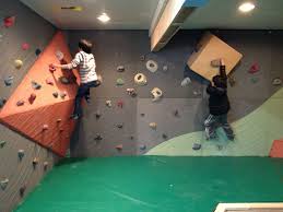 Pin By Elevate Climbing Walls On Rock Climbing Walls By Elevate Climbing Wall Kids Home Climbing Wall Rock Climbing Wall