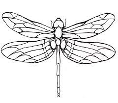 Download or print easily the design of your choice with a single click. Dragonfly Large Winged Coloring Page For Kids Dragonfly Drawing Dragonfly Tattoo Dragonfly Art