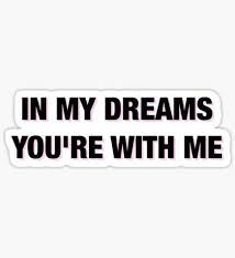 Shawn Mendes In My Dreams You Re With Me Shawn Mendes Stickers Shawn Mendes Quotes Shawn Mendes Lyrics Lyric Quotes