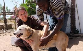 This patient is brought to the clinic because of coughing. Vets United Wtg Welttierschutzgesellschaft