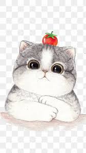 Cat Face Images Cat Face Transparent Png Free Download