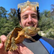 groverbrown's Profile · iNaturalist