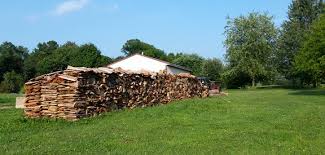 Dans Firewood Facts