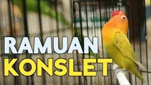 1.1.2.1563 تحميل برنامج driverhub لنظام ويندوز 10 ,8 ,10. Cara Membuat Racikan Pakan Lovebird Agar Ngekek Panjang