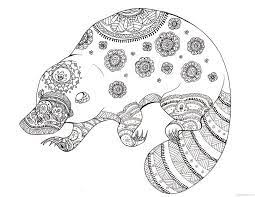 You can now download the best collection of platypus coloring pages image to print. Pin On Funny Mandala Source Art
