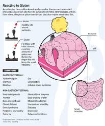 Pin On Facts And Stats Gluten Free