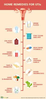 12 Best Home Remedies For Uti Or Urinary Tract Infections Stemjar
