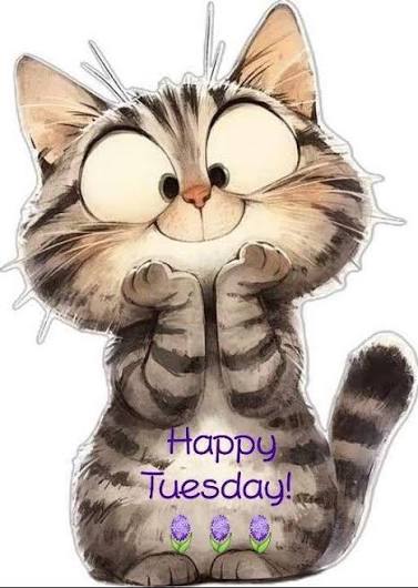 💜💜💜 HAPPY TUESDAY 💜💜💜