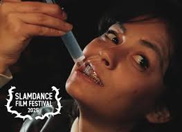 Audio Description (2025)