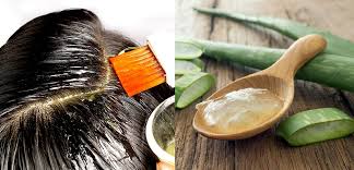 Bananas are well known for their potassium content, helping your aloe vera plant to grow fast.banana peels contain nutrien. Appy Aloe Vera To Grow Hair Faster Fashionbuzzer Com