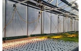 What are the benefits of adjustable grow lights? Lightrail Light Movers Indoor Grow Light Systems Equipment