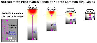 39 High Quality Marijuana Light Spectrum Chart