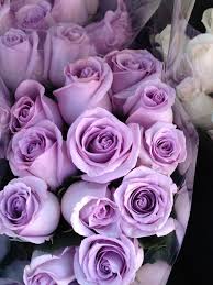 Bits Pieces Slices Of Life Purple Roses Lavender Roses Purple Flowers