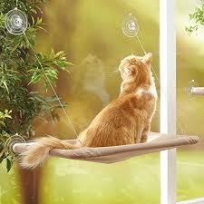 The total length is around 33.46 inches/85cm from the top to the bottom including tassels the width is around 15.74 inches/40cm. Top 15 Best Cat Hammocks Hammock Town
