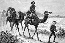 Although cactus are synonymous with desert regions, they are found in some unlikely places. Camel Caravans In The American Desert Legends Of America