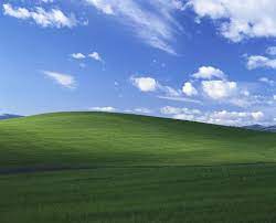 This Windows Wallpaper Was A Real Photo And Here S The Guy Who Took It Windows Wallpaper Classic Window Vaporwave Wallpaper