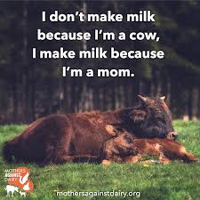 Pin On Vegan Animal Rights