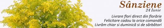 Livrare Buchet Flori Sanziene Aranjamente Florale De Sanziene Online 101flori Ro