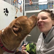 Missy Booker's Instagram, Twitter & Facebook