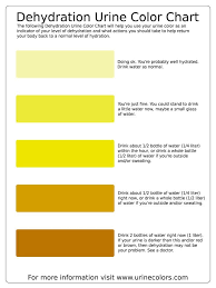 This Dehydration Urine Color Chart Will Help You Use Your