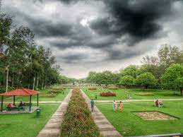 So Many Beautiful Memories In Sector 33 Terrace Garden Terrace Garden Garden Beautiful