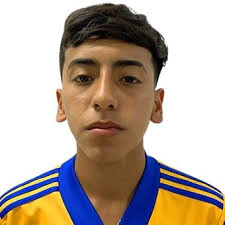 Profile Diego Sánchez, Tigres UANL: Info, news, matches and statistics
