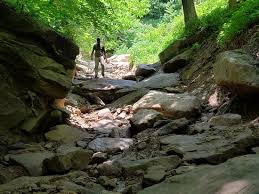 8331 hwy 119 n, putney, ky. Black Mountain Offroad Adventure Area Evarts 2021 All You Need To Know Before You Go With Photos Tripadvisor