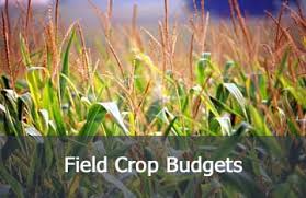 State farm crop budget spreadsheet templates laobingkaisuo. Budgets