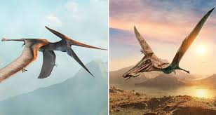 Image result for Pteranodon
