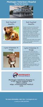 All pets veterinary center offers complete veterinary services to the louisville community and surrounding area. Pin On Vet Newburgh
