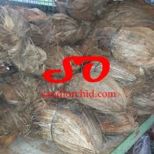 Pot sabut kelapa segi enam. Sabut Kelapa Dalam English