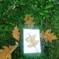 Autumn Leaves event image