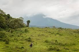 Gorillas In The Mist | Film Locations