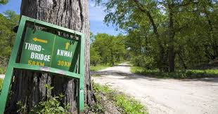 Maybe you would like to learn more about one of these? How To Get To Moremi Game Reserve Access To Moremi And Getting There