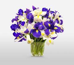 Ocean View Flower Country Flowers Delivery Same Day Flower Delivery Flowers Online Birthday Iris Bouquet Winter Wedding Flowers Spring Wedding Flowers