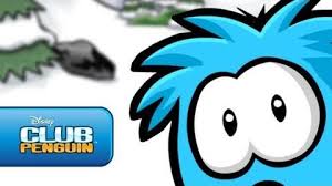 Here are the new rules for your comments: Puffle Club Penguin Wiki Fandom