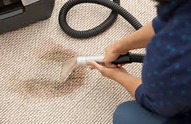 Are you wondering how much does professional carpet cleaning cost? Professional Carpet Cleaning What To Know How To Book