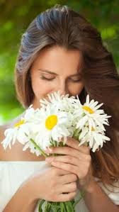 12 Daisy Delight Cottage ideas